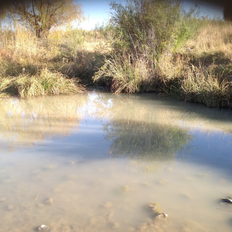Commercial Property for Sale in Thaba Nchu Free State